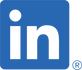LI-In-Bug.png